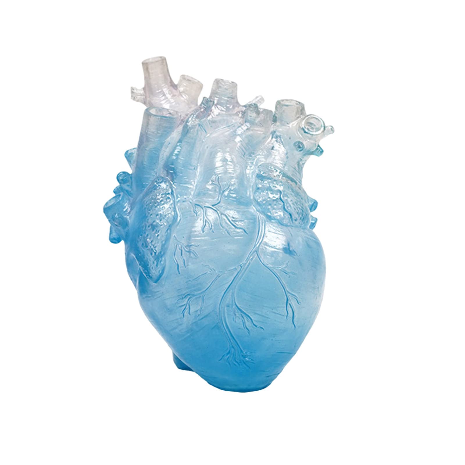 Amazon.com: MANMAOHE Anatomical Heart Shaped Vase - Clear Resin